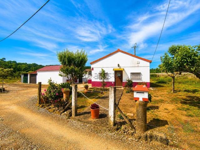 Moradia, Paialvo