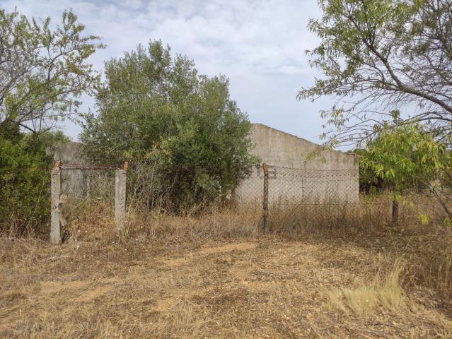 Moradia, Paialvo
