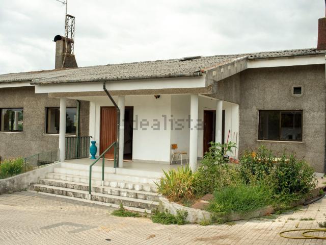 Moradia, Palmeira