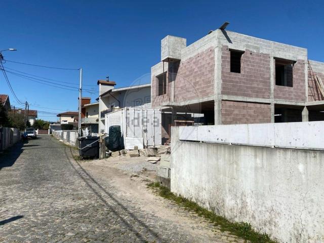 Moradia, Palmeira