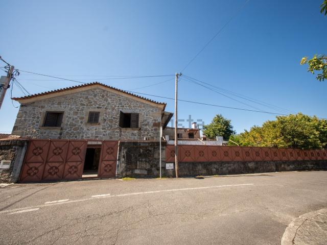 Moradia, Palmeira