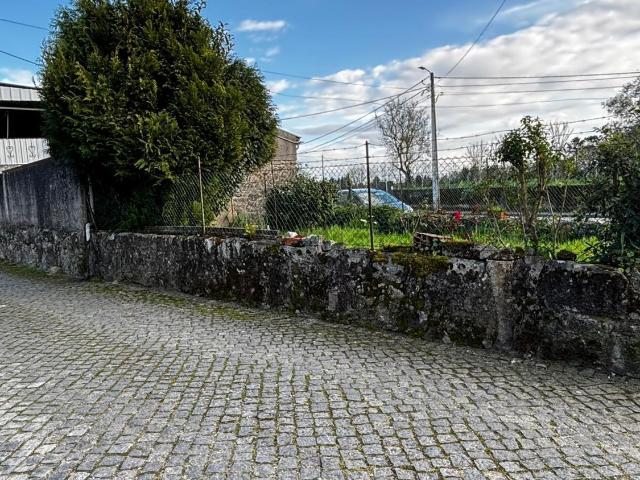 Moradia, Palmeira
