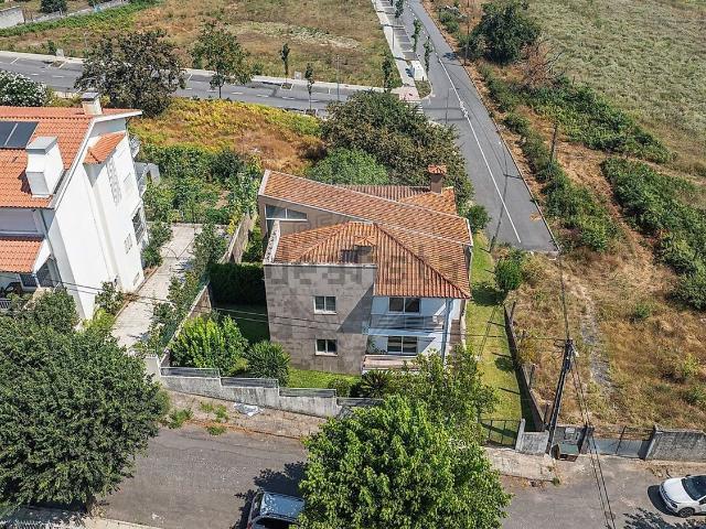 Moradia, Palmeira