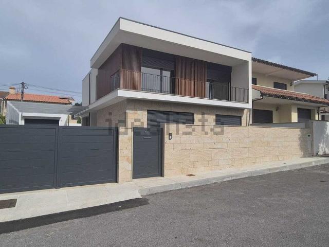Moradia, Palmeira
