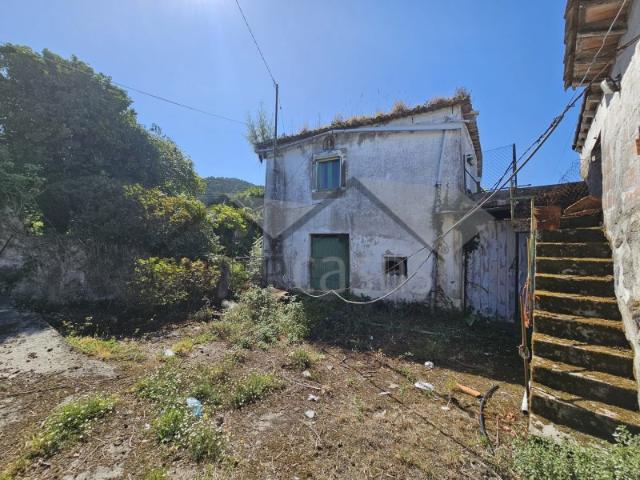Quintinha com Moradia para Reconstrução