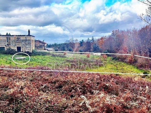 Moradia para Reconstruir + Oferta de 6 Terrenos | Mais de 10.000m²