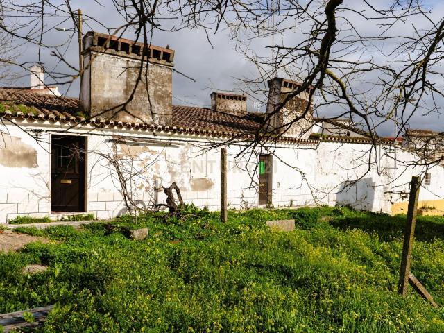 Moradia para recuperação com 6 divisões e terreno rústico com 3654 m2 a 9 min de Estremoz