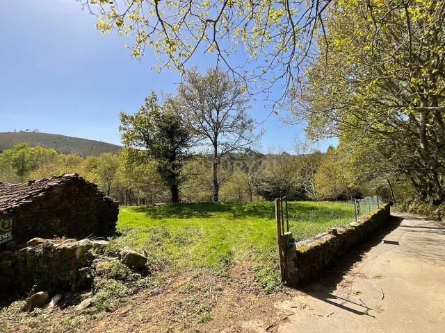 Moradia para recuperar em Paredes de Coura Romarigães