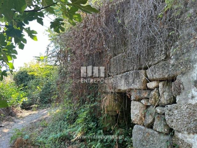 Moradia, Paredes de Viadores e Manhuncelos