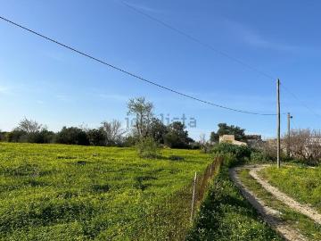 Pechão, Concelho de Olhão, Distrito de Faro, Algarve