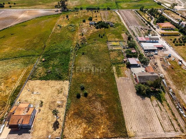 Moradia, Pegões