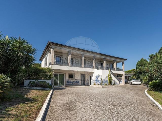 Moradia, Pedome