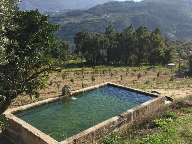 Moradia, Penha Longa