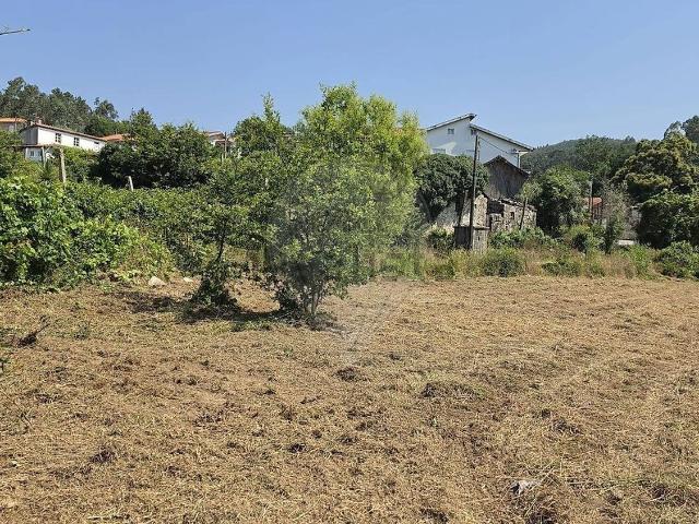 Moradia, Perozelo