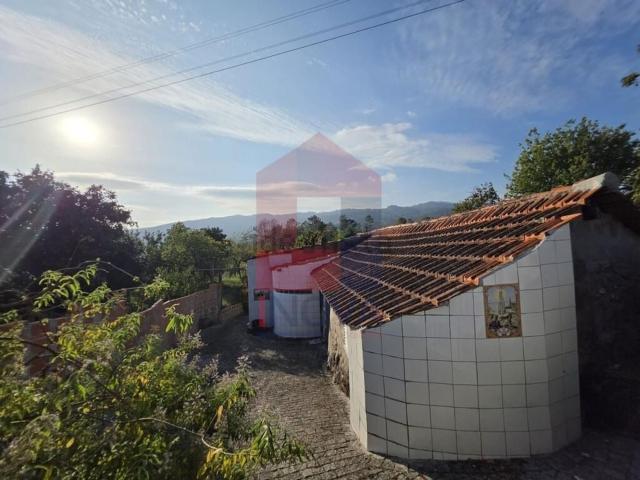 Moradia, Pico