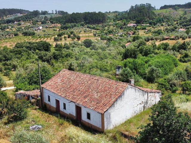 Moradia, Pias