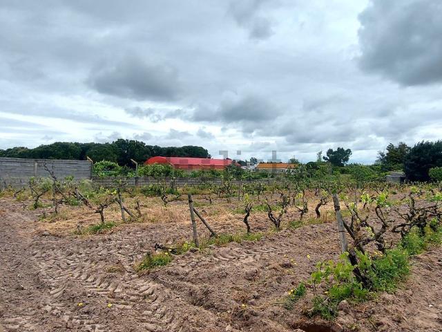 Moradia, Pinhal Novo
