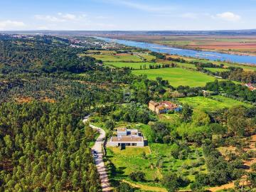 Moradia, Pinheiro Grande