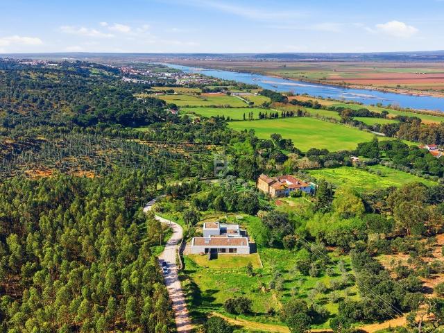 Moradia, Pinheiro Grande