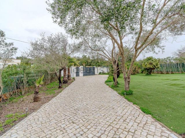 Moradia, Quelfes