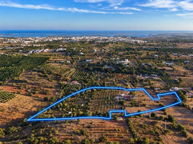 Moradia, Quelfes