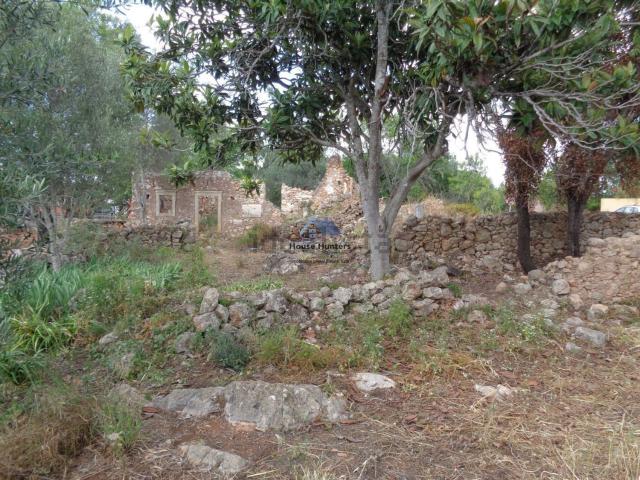 Moradia, Tôr