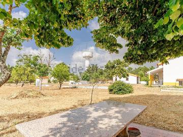 Courelas da Brava, Quinta do Conde, Seixal, Distrito de Setúbal