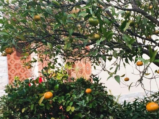 Moradia, Quinta do Conde