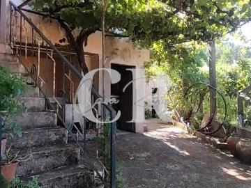 Moradia rustica T2 com adega, terreno, terraços e latada