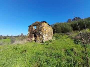 Moradia, Raiva