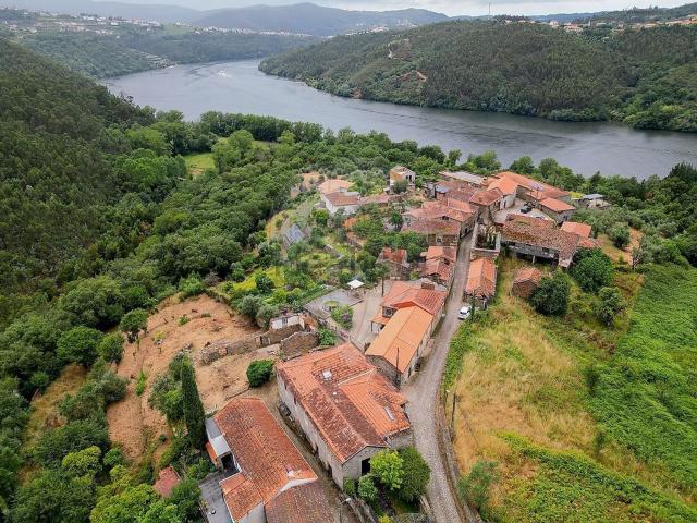 Moradia, Raiva