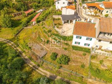 Moradia, Raiva