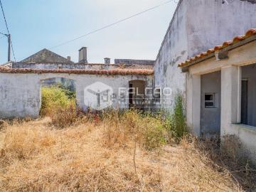 Moradia, Raposa