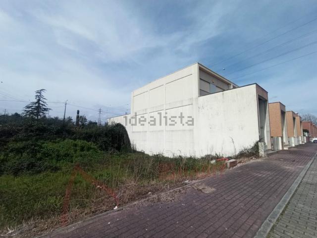 Moradia, Palmeira