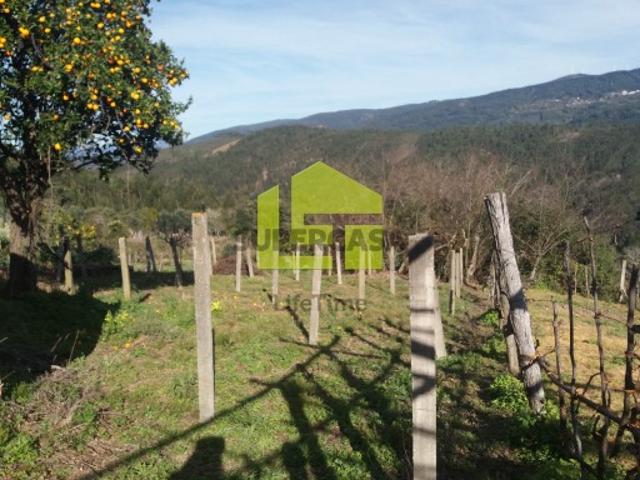 Moradia Restaurar
