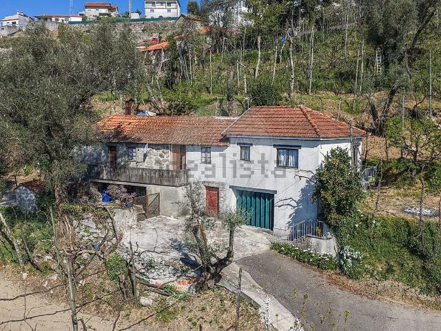 Moradia, Ribas