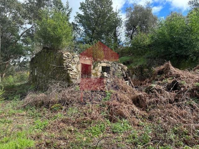 Moradia, Ribeira do Neiva