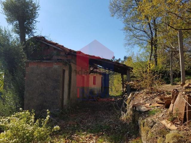 Moradia, Ribeira do Neiva