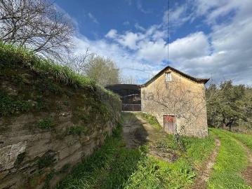 Telhadela, Ribeira de Fráguas, Albergaria-a-Velha, Distrito de Aveiro