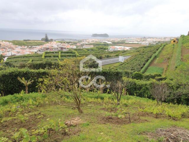 Moradia, ribeira seca