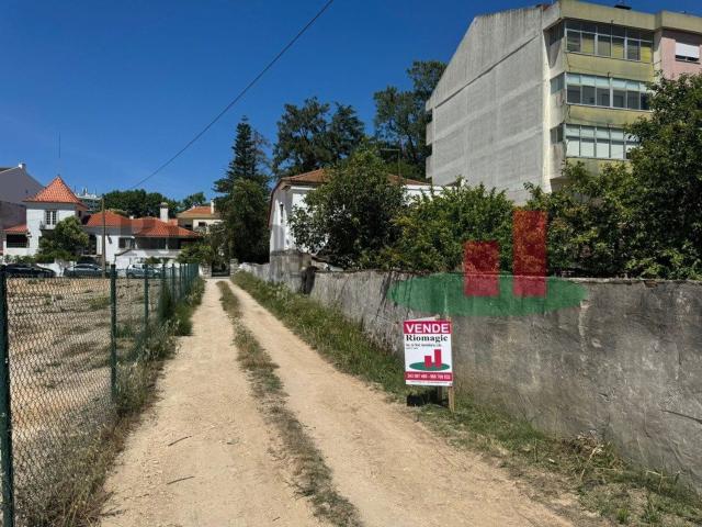 Moradia, Rio Maior