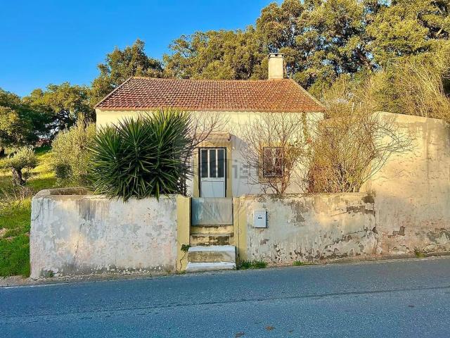 Moradia, Rio Maior