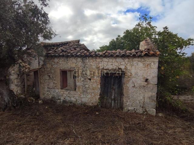 Moradia, São Vicente do Paul