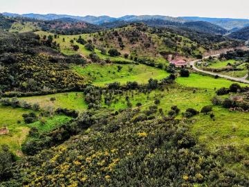 São Bartolomeu de Messines, Concelho de Silves, Distrito de Faro, Algarve