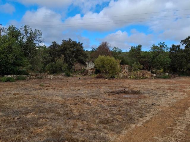 Moradia, São Clemente