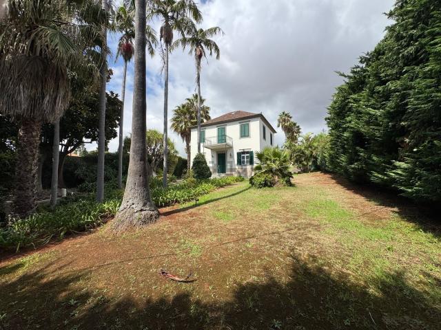 Moradia, São Martinho