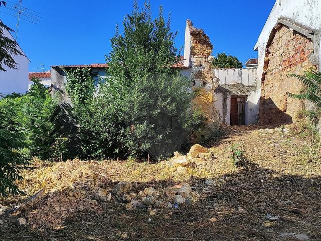 Moradia, São Pedro Lapas Ribeira Branca