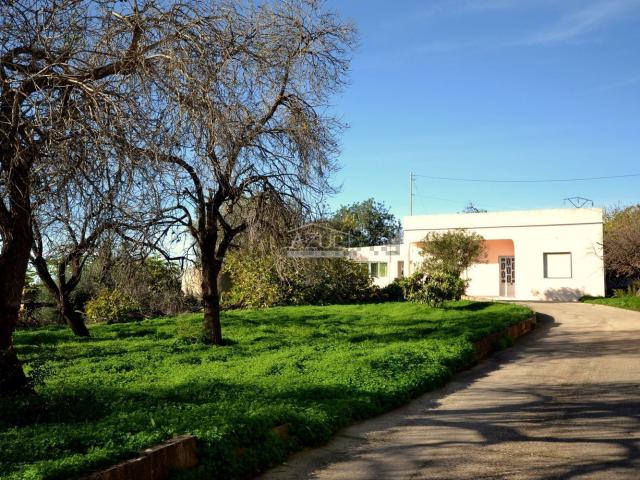 Moradia, São Sebastião