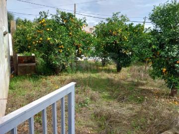 Ribeira de Algibre, São Sebastião, Loulé, Loulé, Distrito de Faro, Algarve