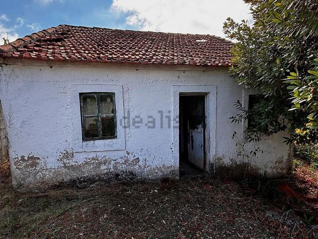 Moradia, Sabacheira